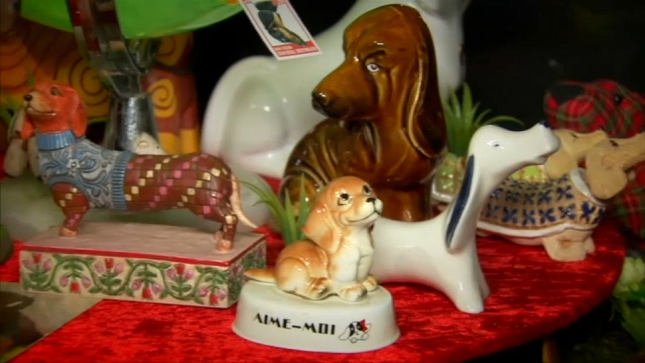 Les teckels ont désormais leur musée Les teckels ont désormais leur musée