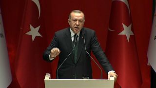 Erdogan dismisses France's offer to mediate wirth Kurds
