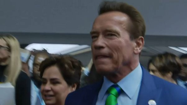 Arnold Schwarzenegger Arnold Schwarzenegger