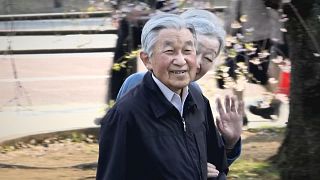 Akihito und Michiko bewundern Kirschblüten