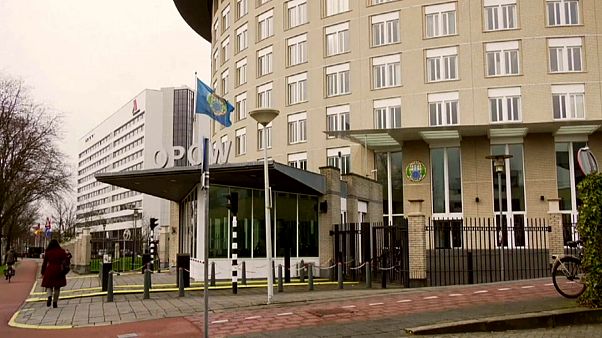 Skripal: Opac respinge la proposta di un'indagine con Mosca Skripal: Opac respinge la proposta di un'indagine con Mosca