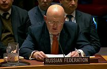 Tensión en el consejo de seguridad de la ONU por el caso Skripal