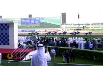 Inspire Middle East : rendez-vous à la Coupe du monde hippique de Dubaï