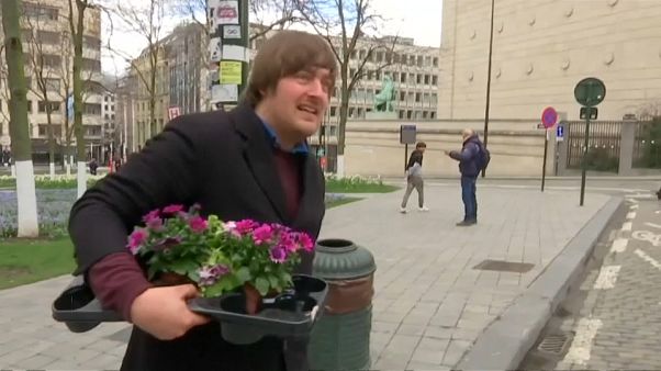 Des fleurs sur des nids de poule à Bruxelles Des fleurs sur des nids de poule à Bruxelles