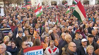 Macaristan'da seçim heyecanı