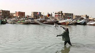 Senegal's fishermen say European overfishing is crippling them