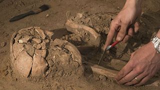 کشف بقایای ۸۵ هزار ساله از گونه «هوموساپین» در عربستان سعودی