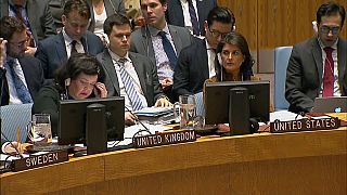 EEUU responderá al ataque en Duma con o sin el aval de la ONU