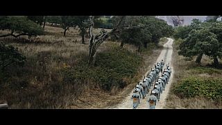 Portuguese film pays tribute to a WWI hero