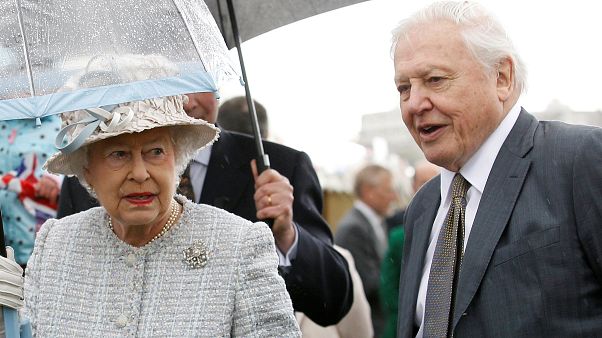 Queen dislikes helicopters — they remind her of US presidential visits Queen dislikes helicopters — they remind her of US presidential visits