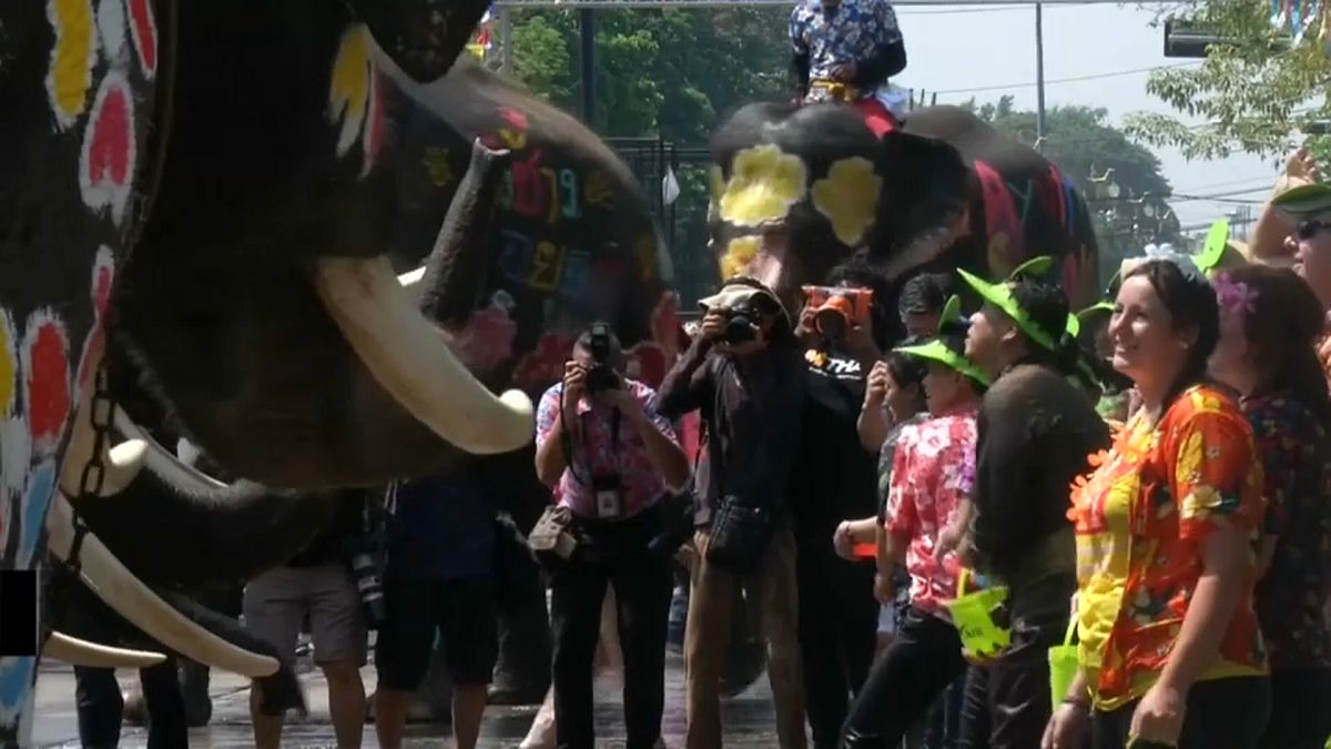 Elephants celebrate Songkram festival in Ayutthaya