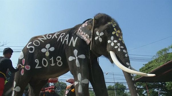 Thailand: Wilde Wasserschlacht mit Elefanten Thailand: Wilde Wasserschlacht mit Elefanten