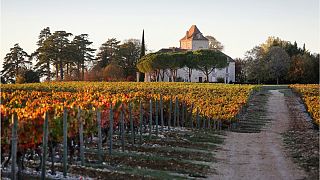  We tried agritourism and a Malbec wine tour in southwest France