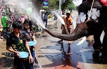 Água une pessoas e elefantes no festival de Ayutthaya