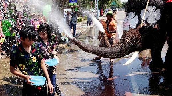 Água une pessoas e elefantes no festival de Ayutthaya Água une pessoas e elefantes no festival de Ayutthaya