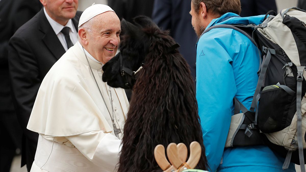 Uma peregrinação de lamas para ver o Papa
