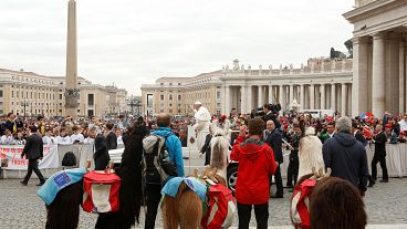 تبريكات من البابا لثالوث مشهور برفقة حيوانات اللاما