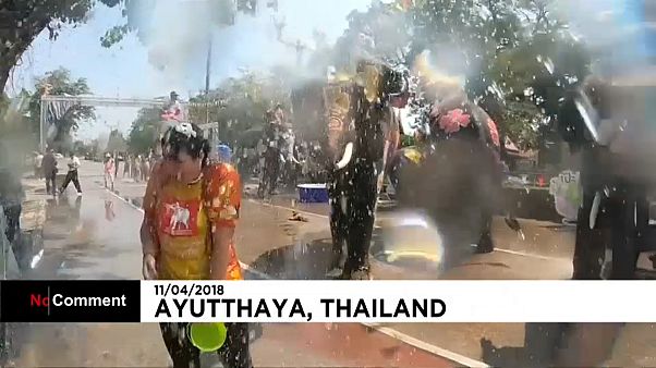 En Thaïlande, des "éléphants éclabousseurs" lancent le Festival de l'eau En Thaïlande, des "éléphants éclabousseurs" lancent le Festival de l'eau