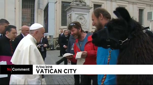 Trois lamas reçus par le pape François au Vatican Trois lamas reçus par le pape François au Vatican