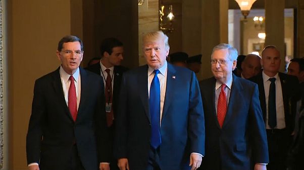 Trump Suriye konusunda kararını henüz vermedi Trump Suriye konusunda kararını henüz vermedi