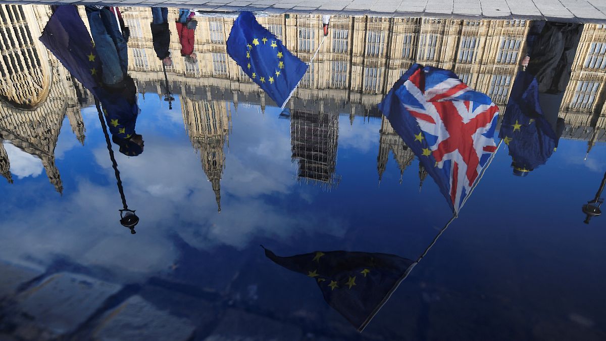 Green Brexit policy worse for environment, report finds