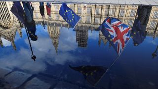 Green Brexit policy worse for environment, report finds