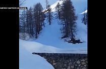 Emergency services taken by surprise by avalanche