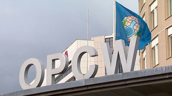 Дело Скрипалей: ОЗХО подтверждает выводы Лондона Дело Скрипалей: ОЗХО подтверждает выводы Лондона