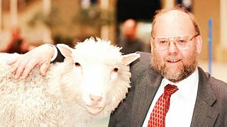 İlk klon koyun Dolly'nin 'babası' parkinsona yakalandı