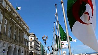 Algerian flags fly half-mast as the country mourns the plane disaster