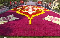 Dünyanın en büyük lale halısı İstanbul Lale Festivali'nde 