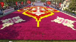 Dünyanın en büyük lale halısı İstanbul Lale Festivali'nde