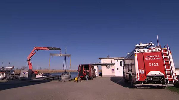 Torzó a tóban Torzó a tóban