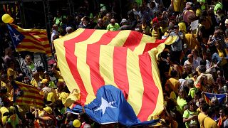 Independence supporters hold up a giant Catalan flag