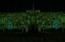 Rainforest lights up Buckingham Palace 