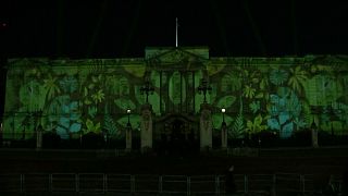 Rainforest lights up Buckingham Palace