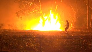 Incêndio de origem criminosa devasta 2.500 hectares