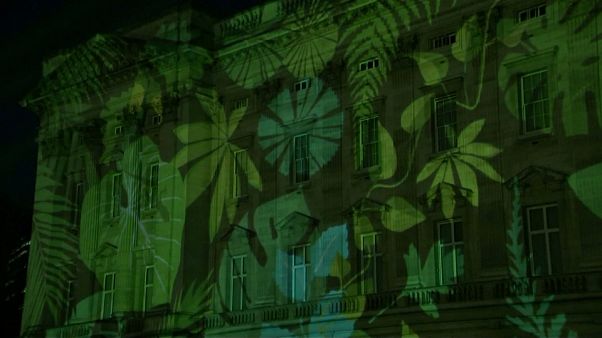 Buckingham palace en mode tropical Buckingham palace en mode tropical
