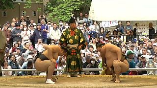 Scandal hit sumo wrestlers bounce back