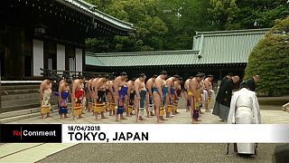شاهد الطقوس الدينية لرياضة السومو اليابانية