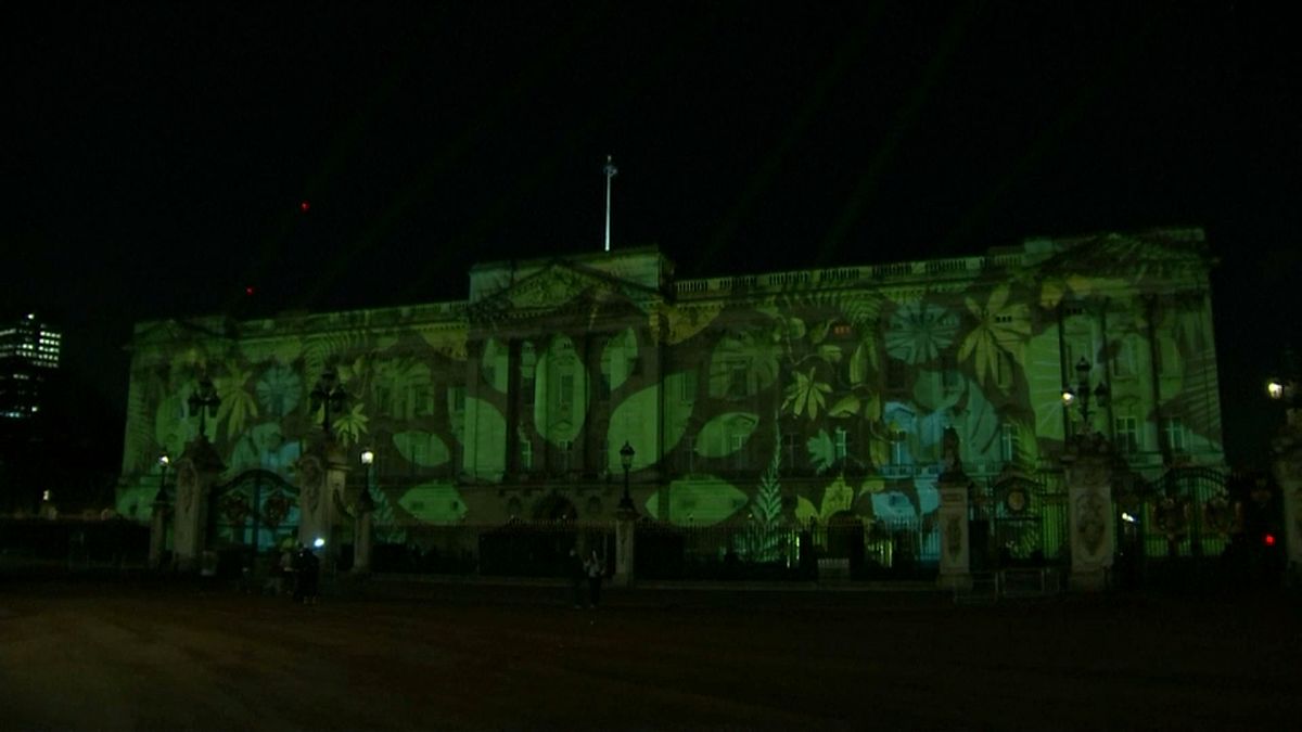Rainforest projected on Buckingham Palace 