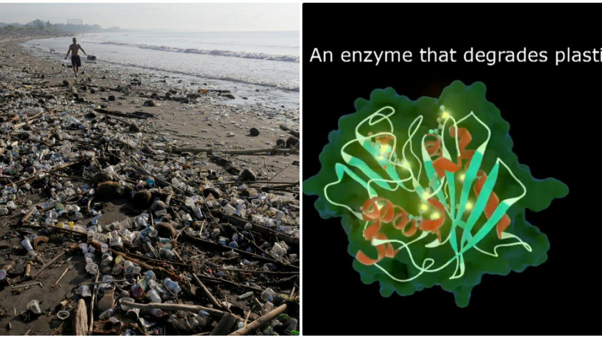 Bilim insanları plastiği yiyen yeni bir enzim türü buldu