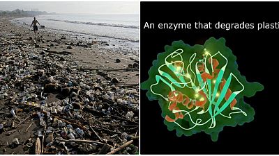 Bilim insanları plastiği yiyen yeni bir enzim türü buldu