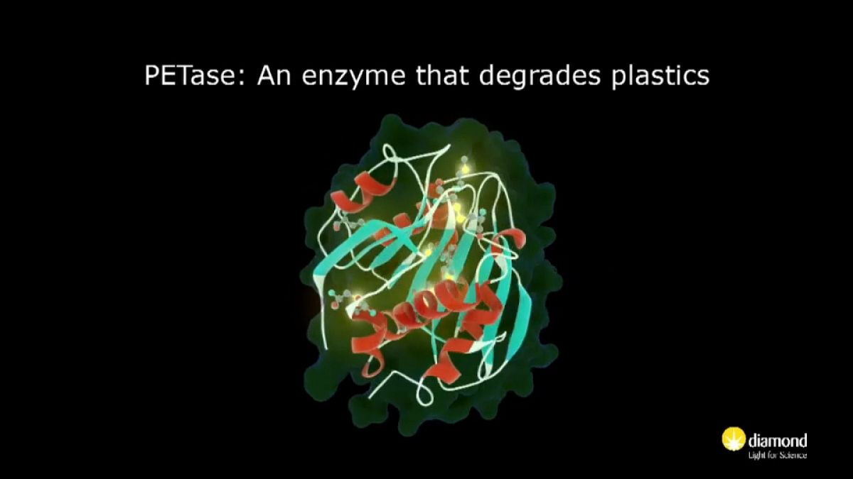 Rivoluzionario enzima mangia-plastica creato in laboratorio