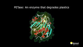 Rivoluzionario enzima mangia-plastica creato in laboratorio