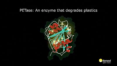 Wissenschaft: Ein Enzym, das Plastik "fressen" kann