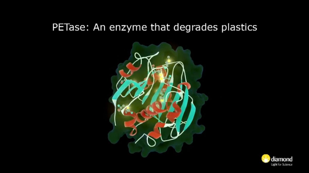 Crean accidentalmente una enzima mutante que come plástico