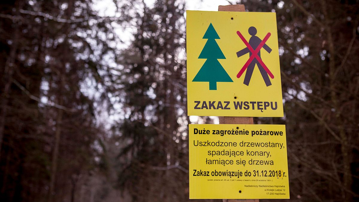 Ευρωπαϊκό Δικαστήριο: Καταδίκη Πολωνίας για το δάσος Μπιαλοβιέσκα 