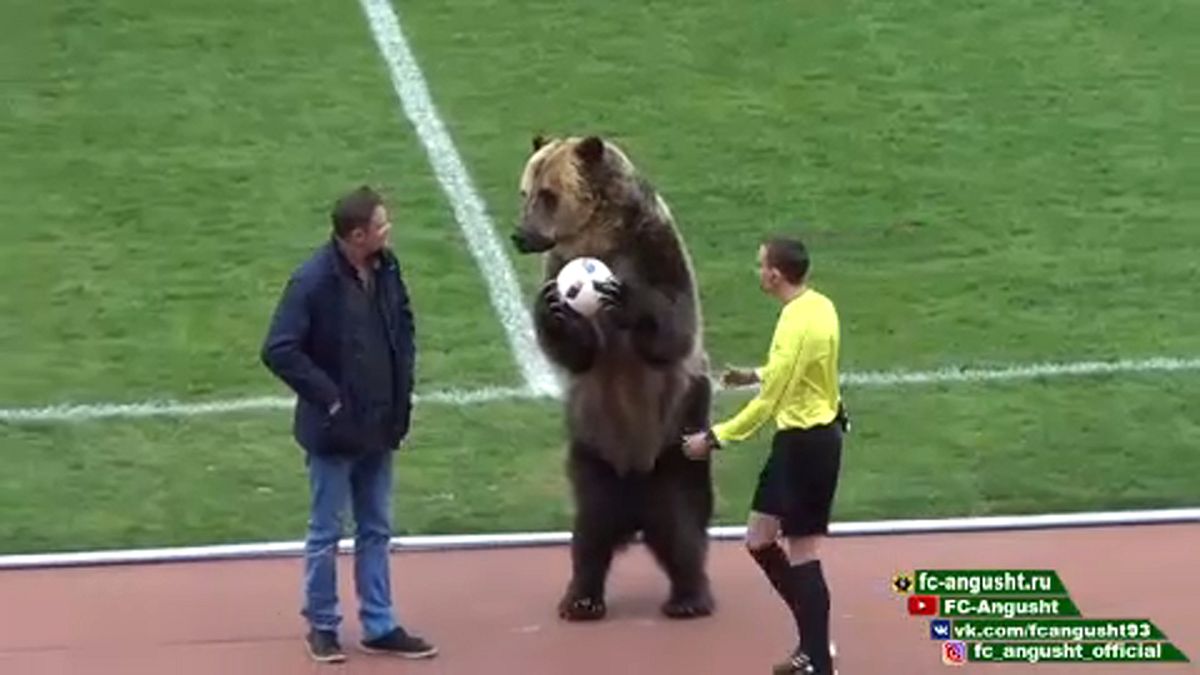 Bear helps kick off Russian football match
