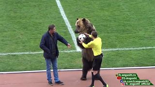 Urso participa em cerimónia de futebol e choca internet